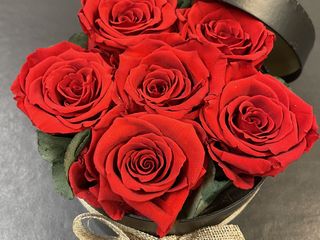 Eeuwig bloeiende rode rozen
