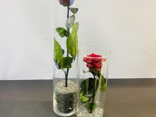 Eeuwig bloeiende roos in glas.