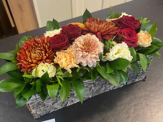 Langwerpig schors M